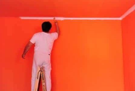 Pintura de sanca.